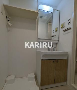 エスリード大阪城EASTの洗面所