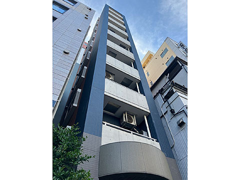 ラ・グラースダイヤモンドマンション秋葉原の外観