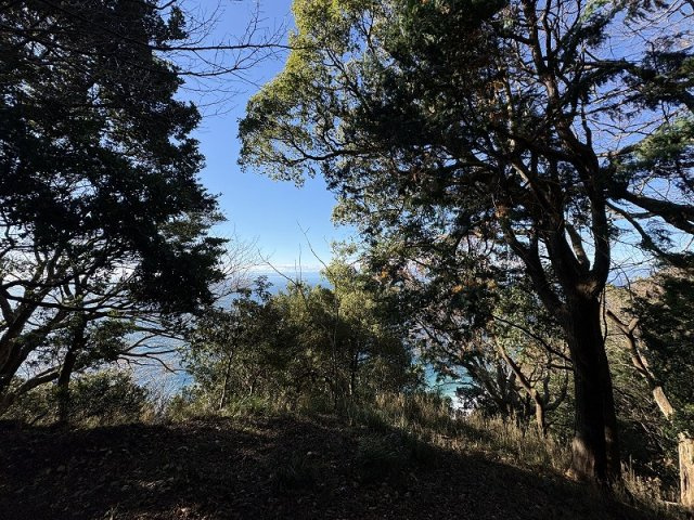 沼津市　戸田