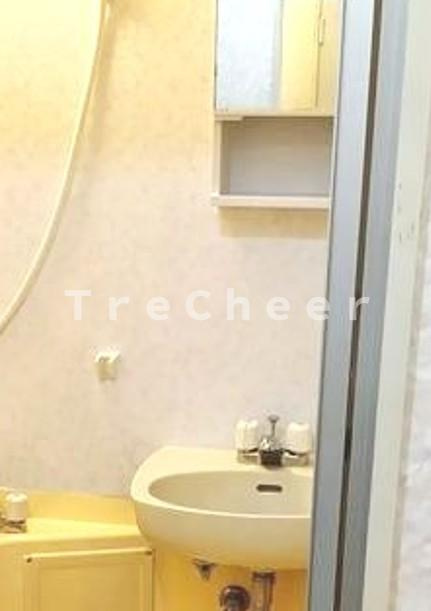 ライオンズマンション飯田橋の洗面所