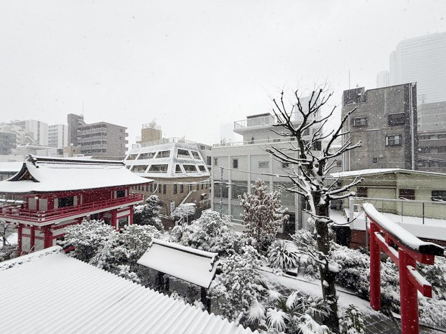 【展望】 | アルテール新宿 | お部屋からの眺望。バルコニーからの景色です～即日のご見学可能～　お問合せはお気軽にどうぞ。
