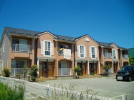 かみふうせんの画像