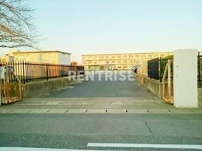 セレノ　Ｎのその他|その他