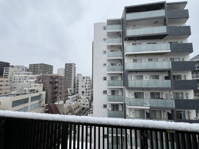 文京区の街並みが見えます！