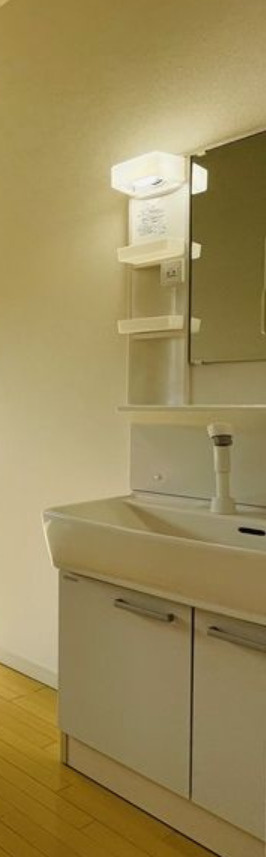 イルヴィアーレ清水町Ⅴの洗面所