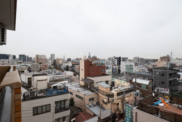 ダイアパレスステーションプラザお花茶屋の展望