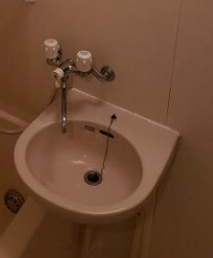 マンションベルベルの洗面所