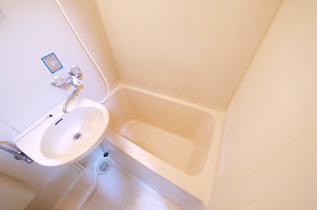 白樺ハイツ大宮Ⅲの収納