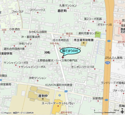  | 陽だまりの杜