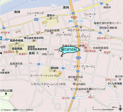  | 陽だまりの杜