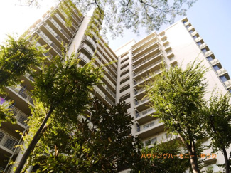 【外観】 | 太陽に愛された邸は、陽当り・通風に優れた魅力的で快適さを追求した邸宅。