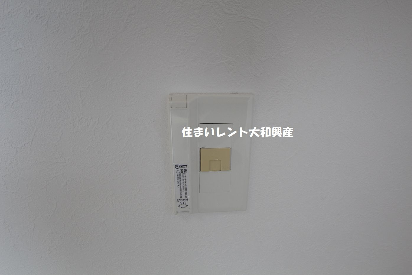 トラッドハウスのその他