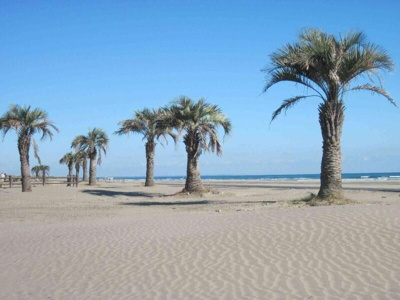 【その他】 | 山武郡九十九里町保養所