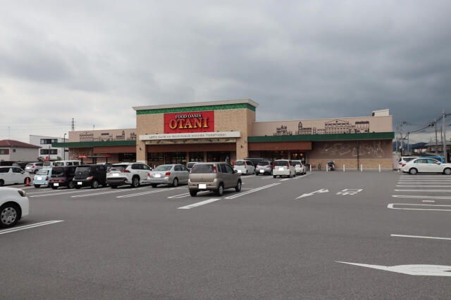 ブルーミングガーデン宇都宮市戸祭２丁目　新築一戸建ての周辺|オータニ一の沢店まで990m