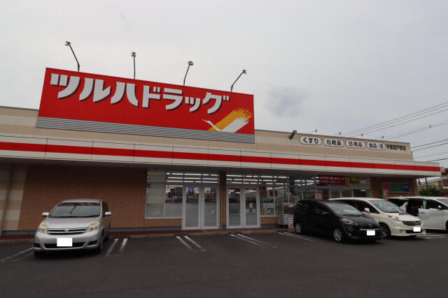ブルーミングガーデン宇都宮市中戸祭１丁目　新築一戸建ての周辺|ツルハドラッグ戸祭店まで442m