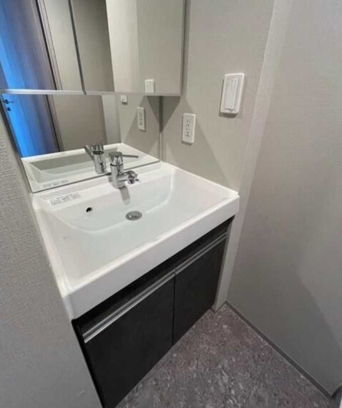 ラグゼナ用賀　駅近　ペット相談　エコキューブの洗面所