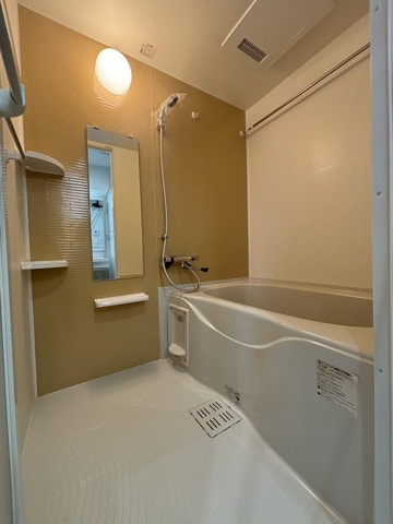 ラシュール・イン大橋Ⅱの浴室