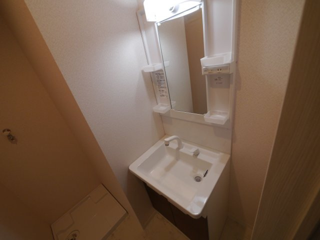 リテラ大楠の洗面所