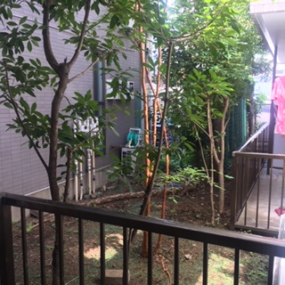 目黒区自由が丘２丁目のアパートの展望