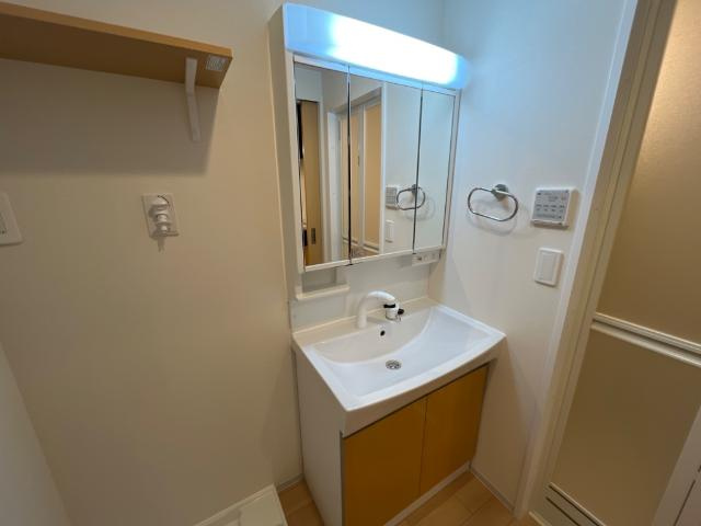 サンフォレスト杉水の洗面所|シャンプードレッサー