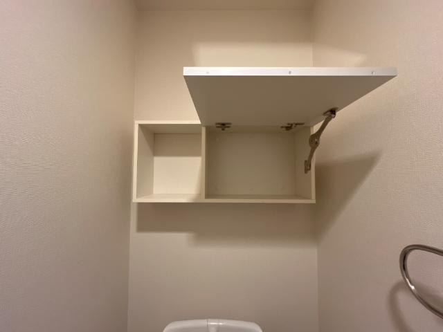 サンフォレスト杉水の収納|トイレ収納