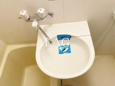 【洗面所】 | プリンセス・アイル後楽園 | 洗面台です。