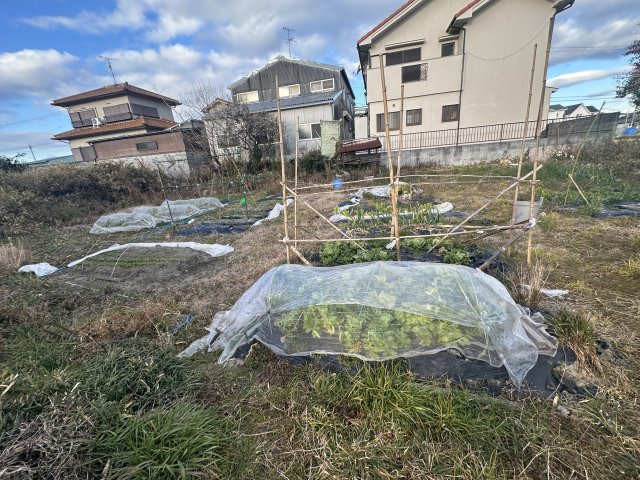 堺市西区原田３２の外観