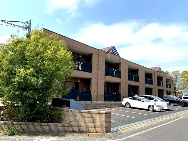 パイン・ツリー