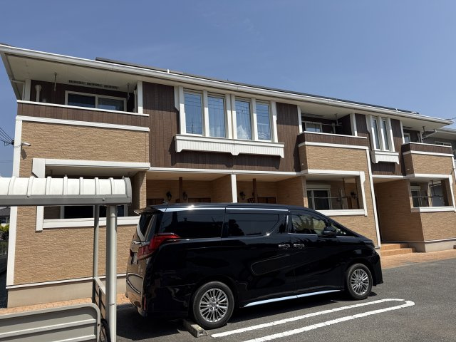 ヴィオラの外観