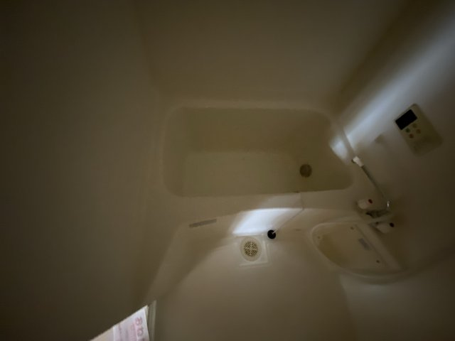 グレイスフルフィールドⅡの浴室