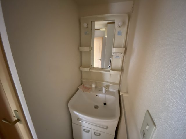 グレイスフルフィールドⅡの洗面所