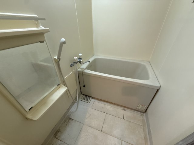 シャトープルミエの浴室