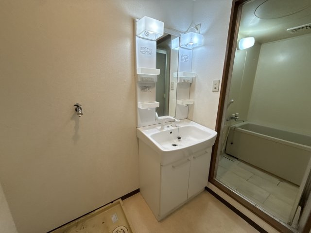 シャトープルミエの洗面所