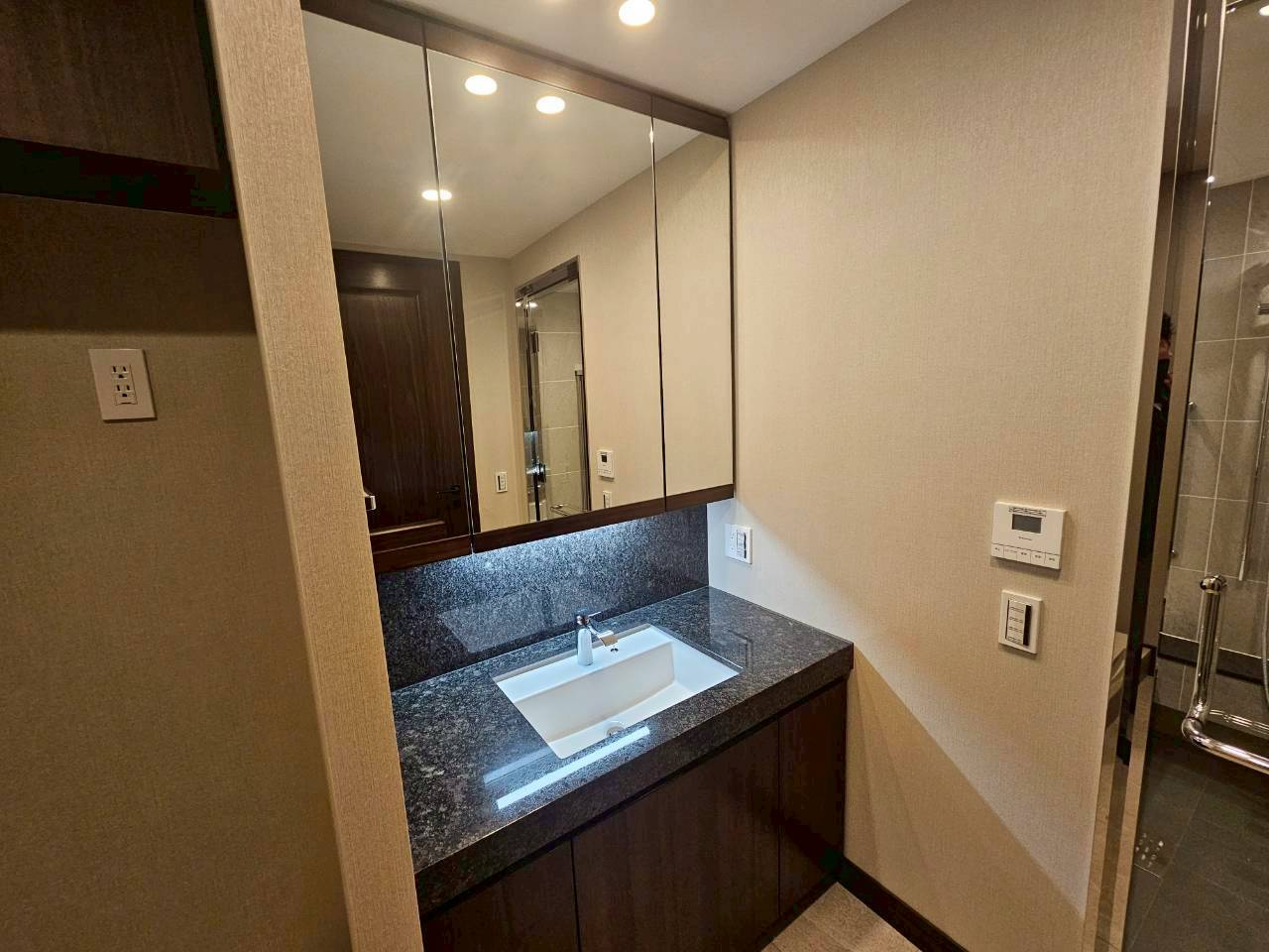 グラングリーン大阪 THE NORTH RESIDENCEの独立洗面台
