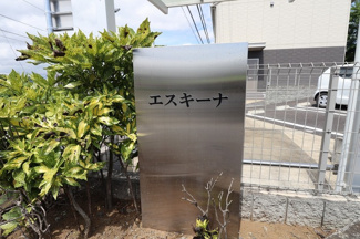  | エスキーナ