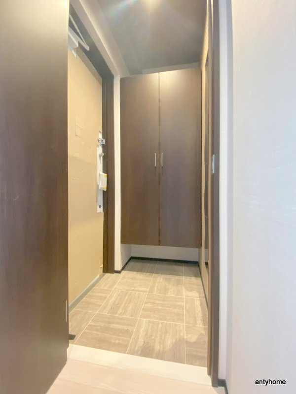 ブエナビスタ難波サウスタワー　仲介手数料無料の玄関