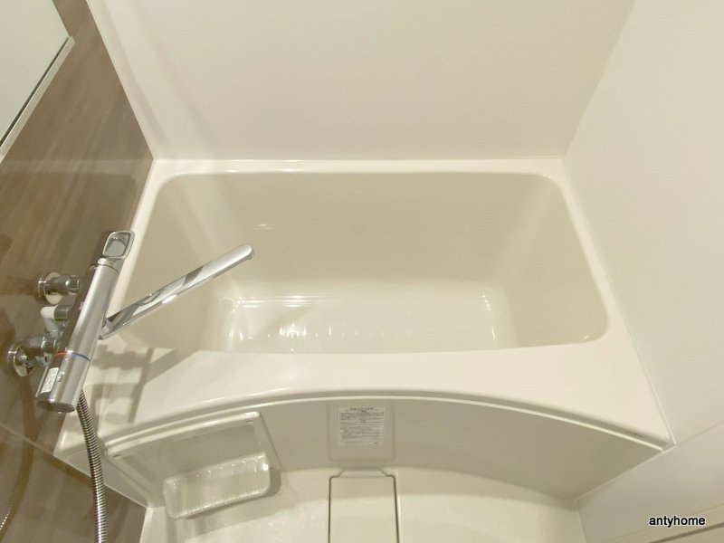 ブエナビスタ難波サウスタワー　仲介手数料無料の浴室