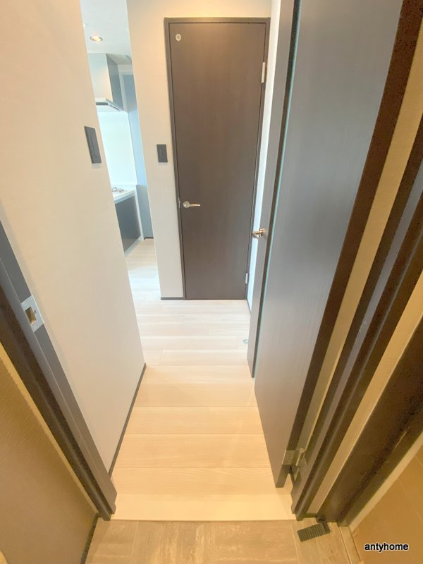 ブエナビスタ難波サウスタワー　仲介手数料無料の内装