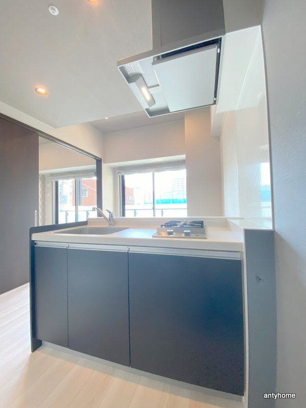 ブエナビスタ難波サウスタワー　仲介手数料無料のキッチン