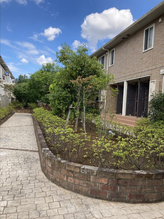 トップⅤのその他