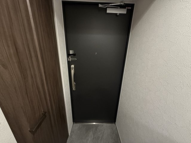 GENOVIA神戸湊川公園の玄関|同物件別部屋写真
