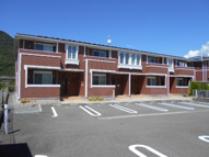 ピュア・キララ　Ａの画像