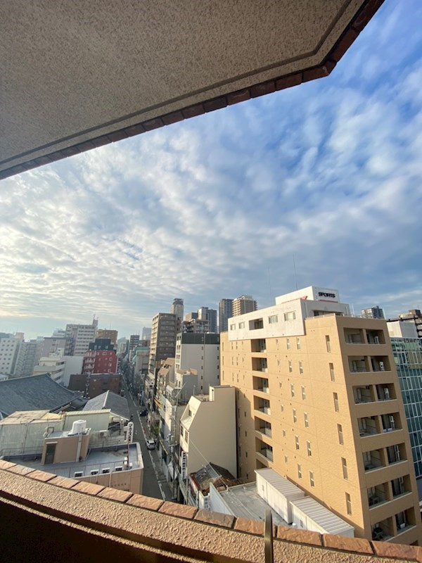 セイワパレス長堀南の展望