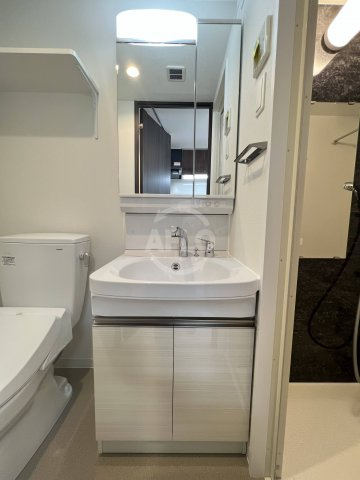 エグゼ難波WESTリバーの洗面所|エグゼ難波WESTリバー　独立洗面台