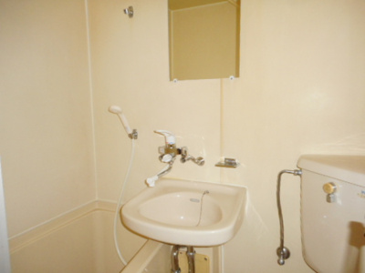 【洗面所】 | メゾン南行徳 2丁目 | 参考写真（同物件別部屋）