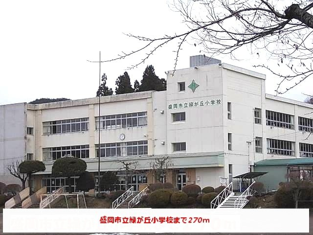 グレースアゼリアＡの周辺|盛岡市立緑が丘小学校まで270m