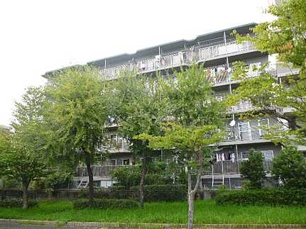 ウィンディ井口