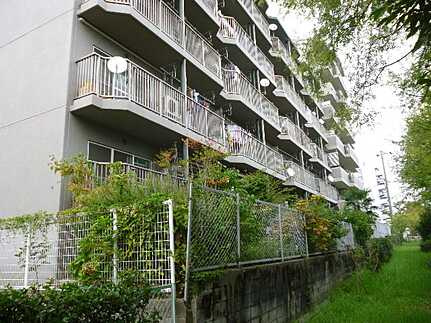 ウィンディ井口のその他