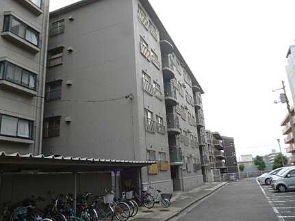 ウィンディ井口のその他