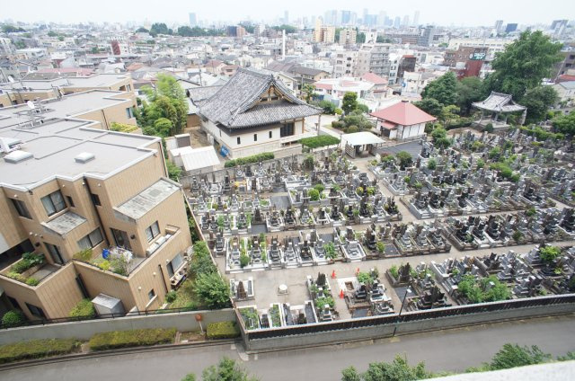 プライムメゾン江古田の杜イーストの展望